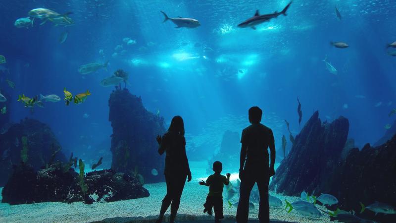 Oceanarium pomorskie
