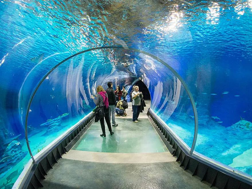 Oceanarium w Gdyni