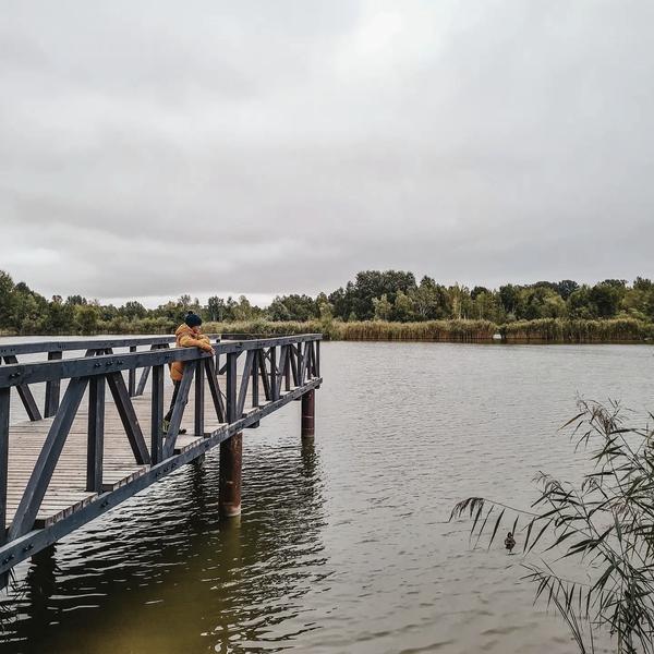 Przyroda w Zielonce