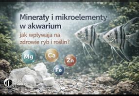 Warunki do wzrostu roślin