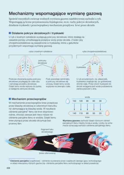 Wędkowanie w różnych warunkach