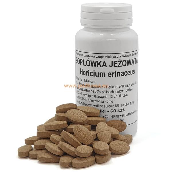 Zimowy sen jeży
