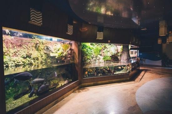Odkryj największe oceanarium nad morzem: ciekawostki o Gdyni i Gdańsku