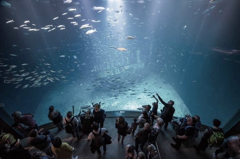 Odkryj tajemnice morskiego świata w Oceanarium Warszawa Blue City