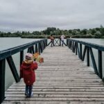 Odkryj urok Glinianek Zielonka – malownicze stawy w sercu Zielonki