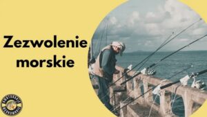 Zdobądź zezwolenia na wody polskie i otwórz drzwi do legalnej eksploatacji zasobów wodnych