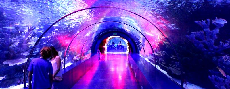 Alanya oceanarium