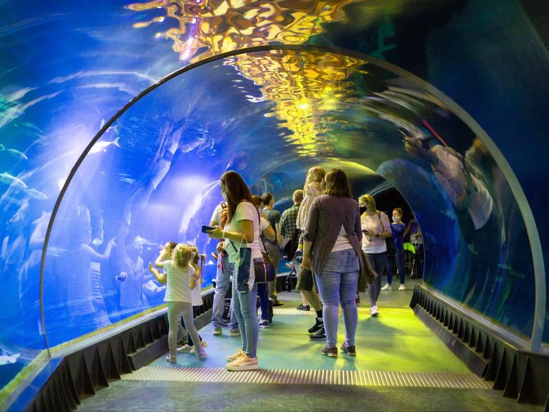 Bilety do oceanarium Wrocław