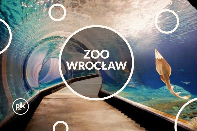 Noclegi przy oceanarium Wrocław