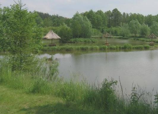 Nowoczesne stawy do wędkowania