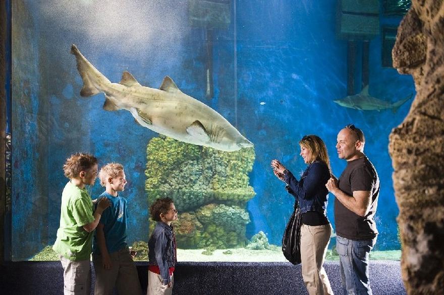 Oceanarium Nyíregyháza