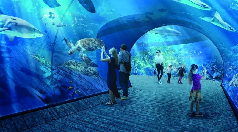 Oceanarium w Krakowie