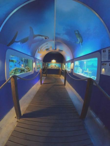 Oceanarium w Łebie