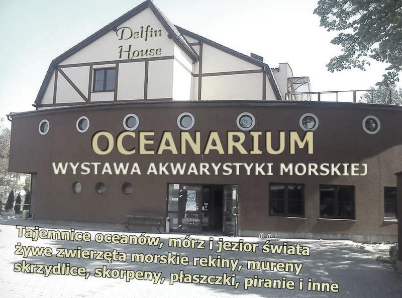 Opinie o oceanarium