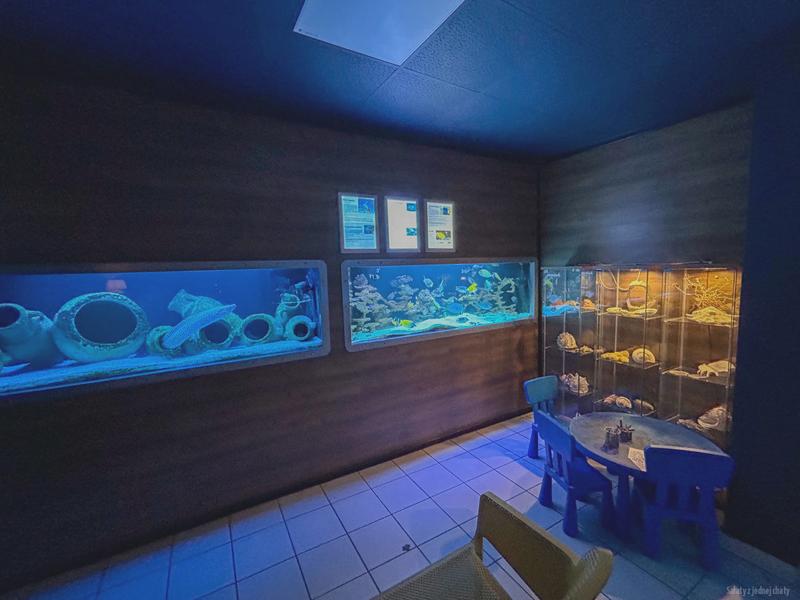 Podwodny świat oceanarium
