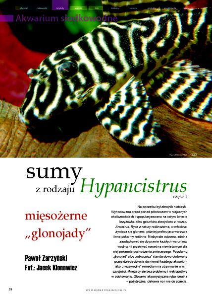 Rozmnażanie ryb akwariowych