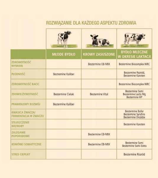 Rozmnażanie w świecie ryb