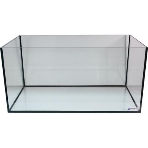 Ryby do akwarium 60x30x30