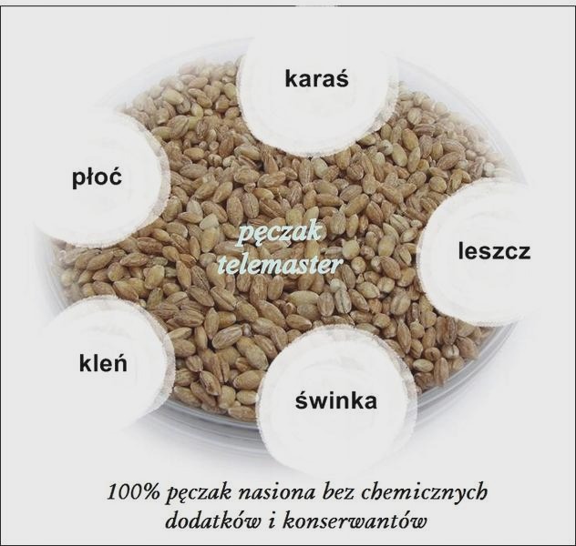 Jak przyrządzić pęczak na ryby, by skutecznie je przyciągnąć?
