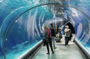Łeba atrakcje oceanarium: odkryj podwodne cuda i ujawnij magię tego miejsca