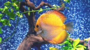 Najciekawsze atrakcje w oceanariach polskich zoo: odkryj niezwykłą faunę mórz