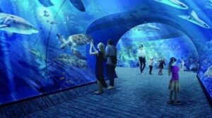 Odkryj fascynujący świat oceanarium w Ustce - sprawdź godziny otwarcia!