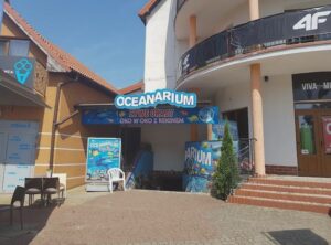 Odkryj fascynujący świat podwodny w Oceanarium Rewal – atrakcje, które zachwycą każdego
