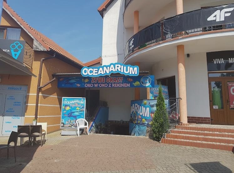 Odkryj fascynujący świat podwodny w Oceanarium Rewal – atrakcje, które zachwycą każdego