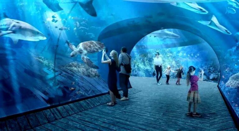 Odkryj, jak kupić bilety do oceanarium w Gdyni i uniknąć długich kolejek
