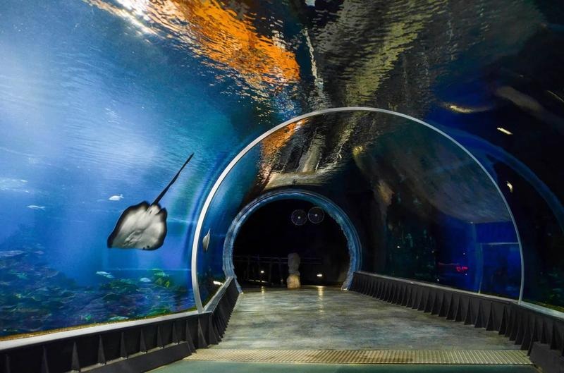 Odkryj komfortowe noclegi w pobliżu oceanarium Wrocław – hotele, które zachwycają