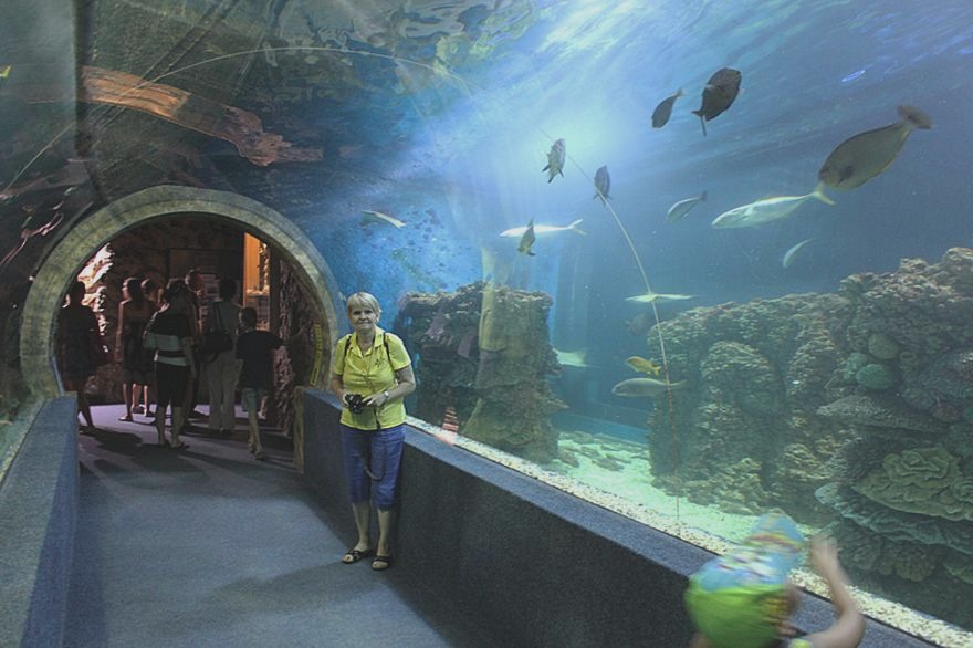 Odkryj magię Oceanarium Nyíregyháza: Niezapomniane atrakcje i tajemnice morskich głębin