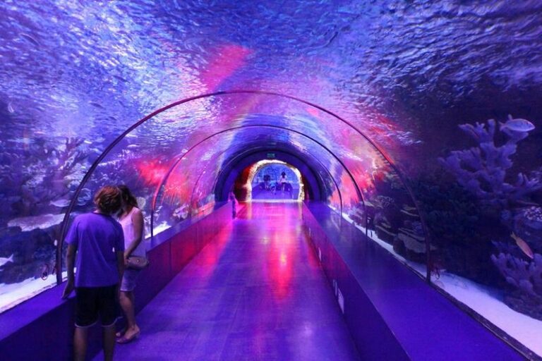 Odkryj Oceanarium Antalya: Niezapomniane atrakcje i praktyczne informacje dla turystów