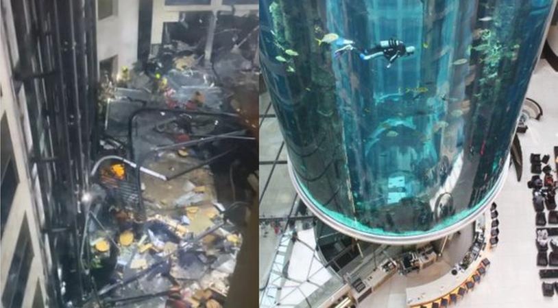 Odkryj Oceanarium Berlin: Niezwykłe atrakcje i tajemnice podwodnego świata