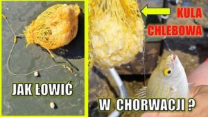 Zalety chlebowej przynęty: jak zrobić ciasto na ryby, które zawsze działa