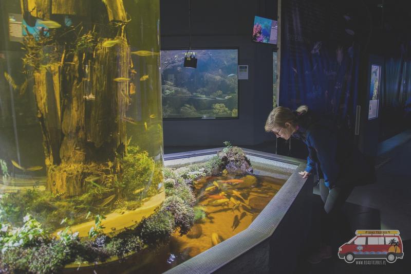 Atrakcje turystyczne Oceanarium