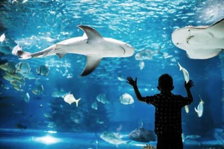 Oceanarium w Kołobrzegu