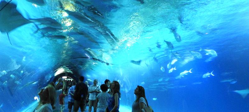 Oceanarium w Walencji