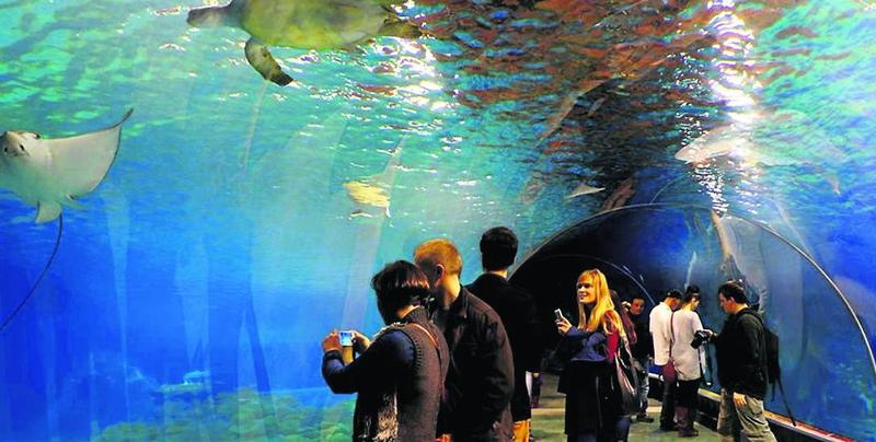 Opinie odwiedzających oceanarium
