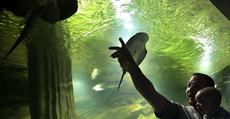 Restauracja Oceanarium Międzyzdroje