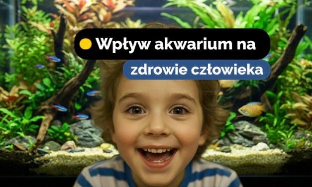 Jak skutecznie dbać o akwarium z rybkami, aby zapewnić im zdrowie i zminimalizować stres