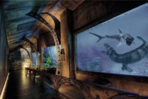 Oceanarium Warszawa: gdzie najlepiej zobaczyć morskie atrakcje i wystawy