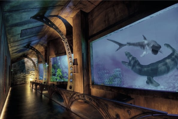 Oceanarium Warszawa: gdzie najlepiej zobaczyć morskie atrakcje i wystawy