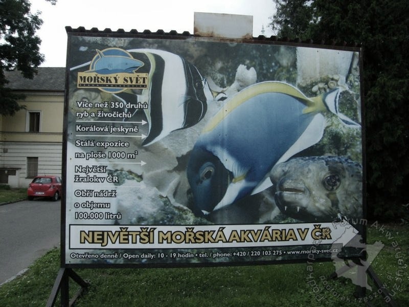 Odkryj piękno oceanarium w Pradze – Niezapomniane atrakcje i praktyczne porady